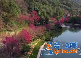 国内有哪些冷门又好玩的地方，国内人少景美的八大出游地？