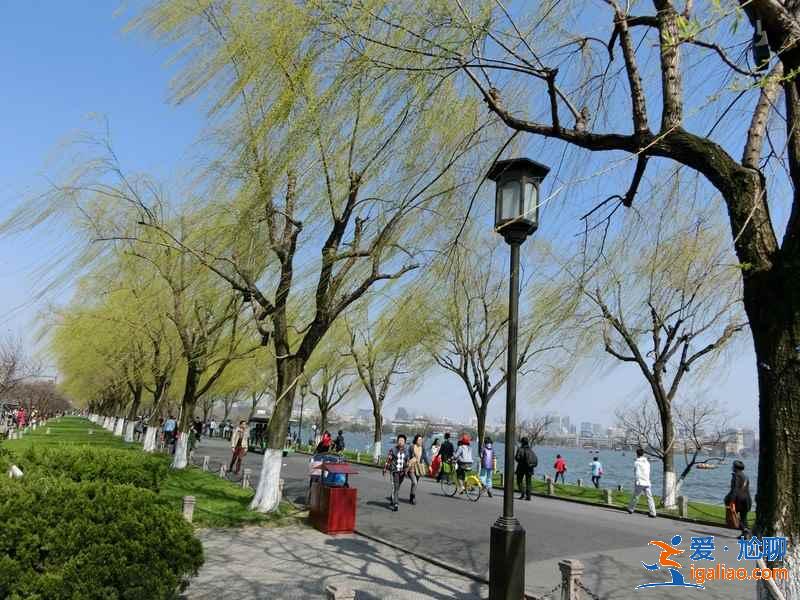 白堤步行怎么玩？白堤周边的这些景点要串在一起玩！？