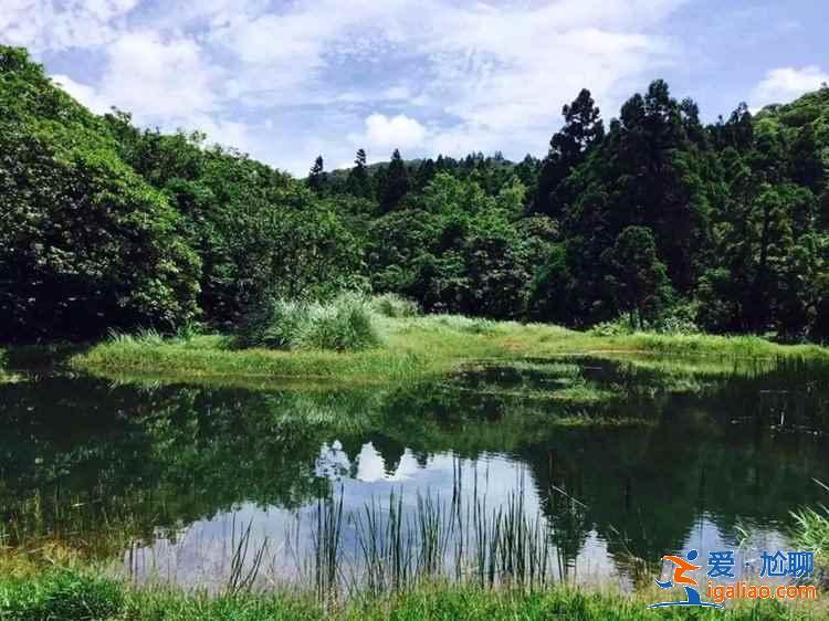 阳明山国家公园好玩吗，阳明山国家公园哪里好玩，阳明山国家公园游玩攻略？