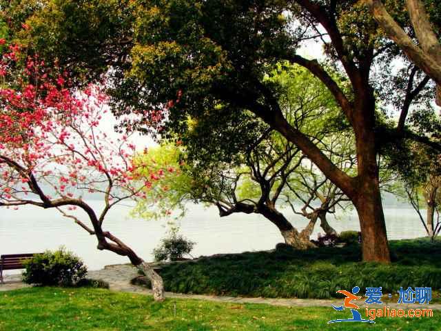 苏堤春晓夏天好玩吗，苏堤春晓适合夏天去吗，苏堤春晓夏天好看吗？