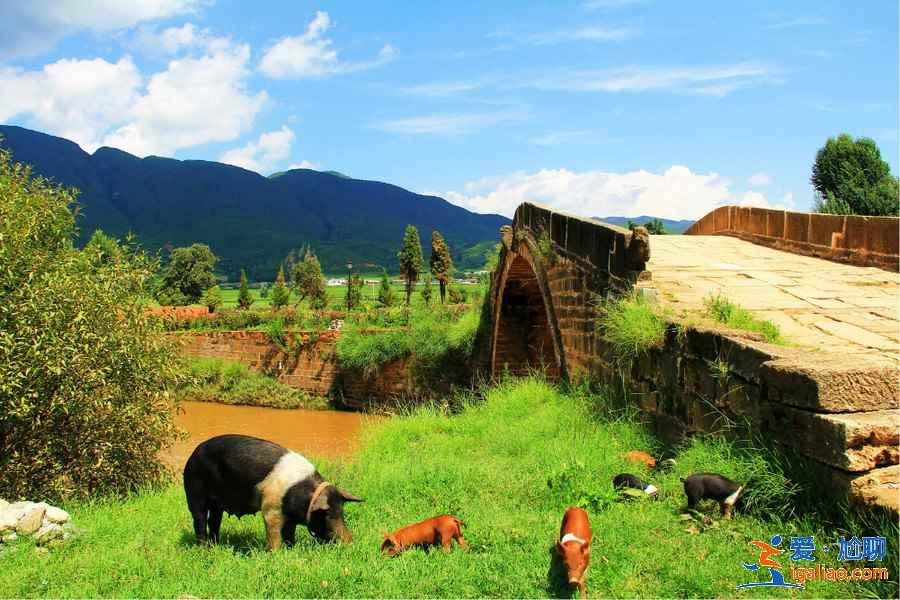 【暑假去哪里旅游便宜】2019暑假去哪里旅游便宜又好玩,暑假适合去哪里旅游? 【暑假去哪里旅游便宜】2019暑假去哪里旅游便宜又好玩,暑假适合去哪里旅游?