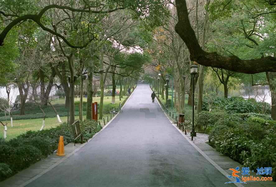 苏堤和白堤哪个好玩？苏堤和白堤哪个景色好看？？
