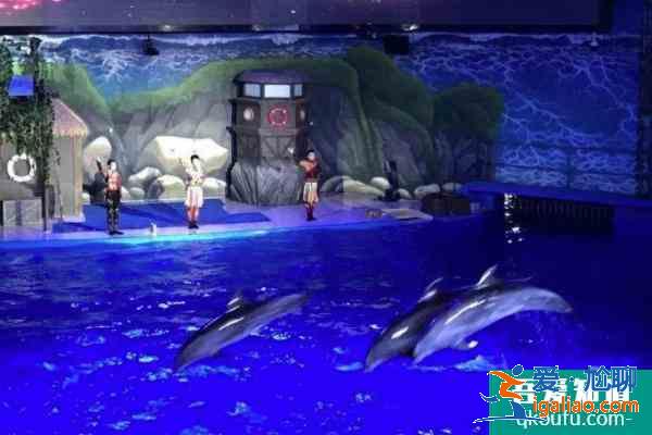 2021南宁海底世界门票多少钱一张 南宁海底世界表演时间 开馆时间？