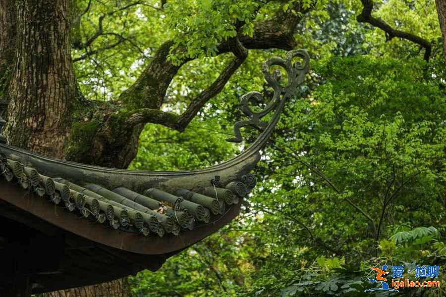 西湖孤山好玩吗，西湖孤山游玩攻略？