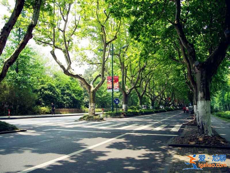 太子湾公园附近有什么景点？太子湾公园附近有什么好玩的？太子湾公园周边有什么景点？？