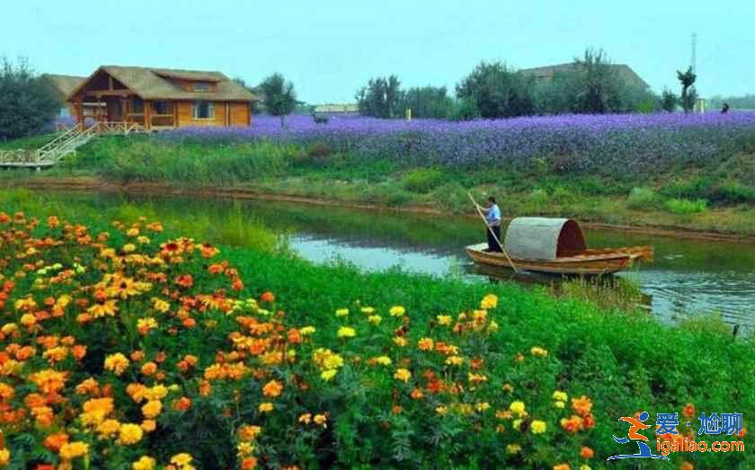 去沙坡头旅游住哪里，沙坡头住哪里好？