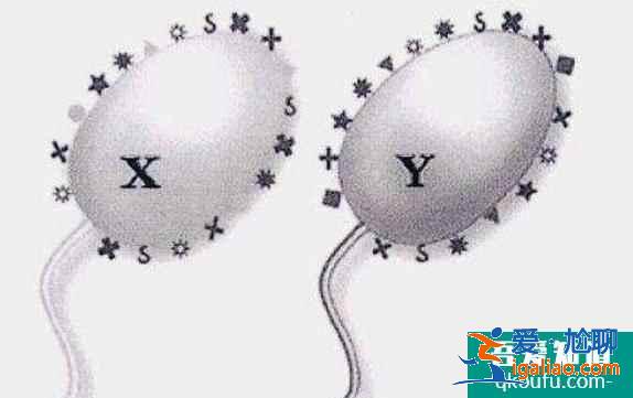 x、Y精子分离技术？