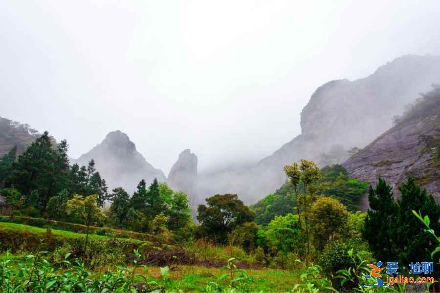 雁荡山在哪里，雁荡山好玩吗？