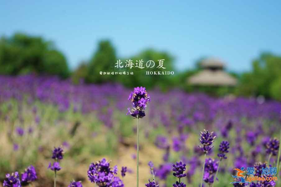 西安代怀机构,实用的育儿经？