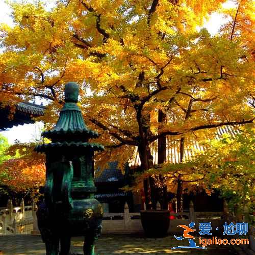 怀柔有什么好玩的，2019怀柔旅游景点推荐？