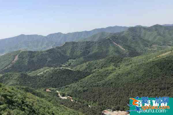 2021九龙山国家森林公园要门票吗？