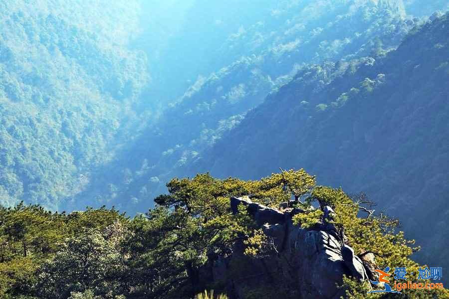 武功山：群山怀抱的天上草原？