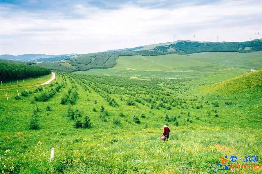 张北有什么好玩的地方，张北有什么旅游景点？