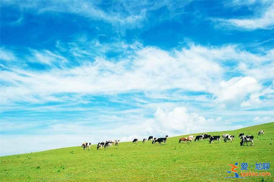 张北有什么好玩的地方，张北有什么旅游景点？