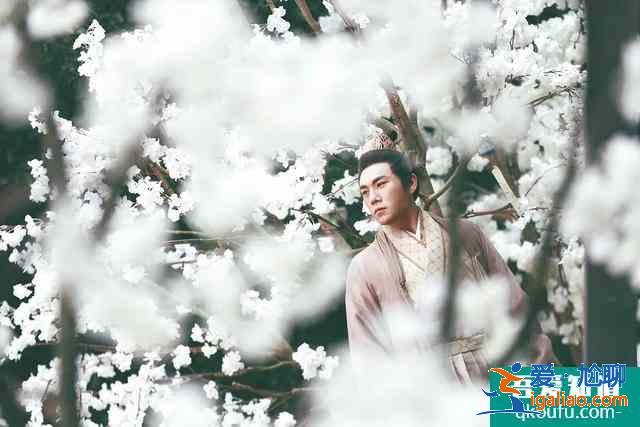 秦昊刚说不接烂片，《锦绣南歌》就上线了，打脸速度真是太快了？