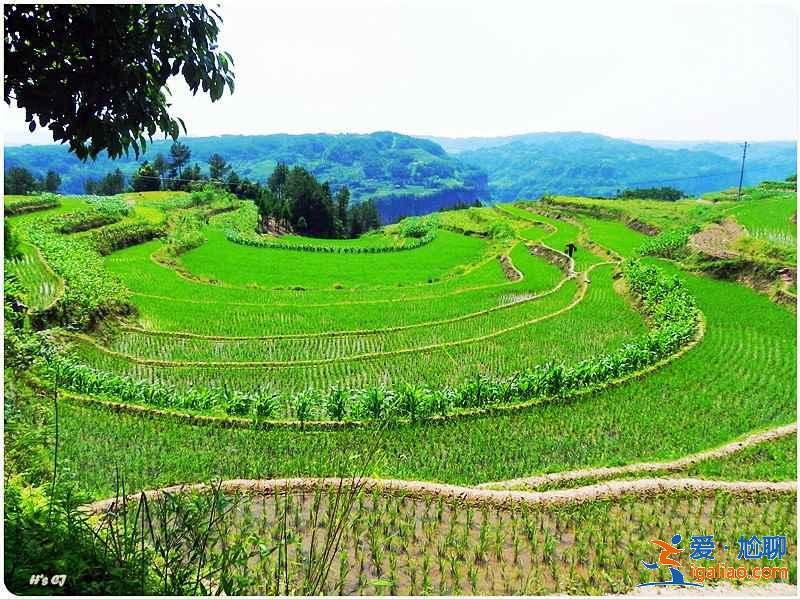 【湖北夏天有什么好玩的】2019湖北夏天哪里好玩，湖北哪里好玩又便宜？