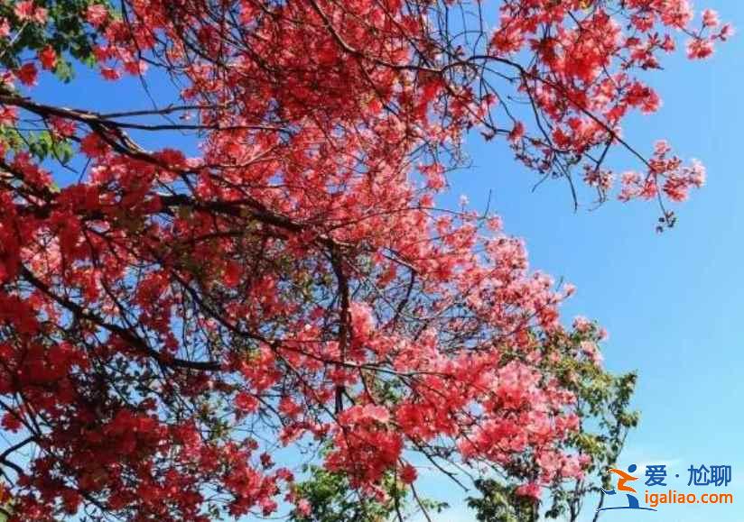 【湖北夏天有什么好玩的】2019湖北夏天哪里好玩，湖北哪里好玩又便宜？