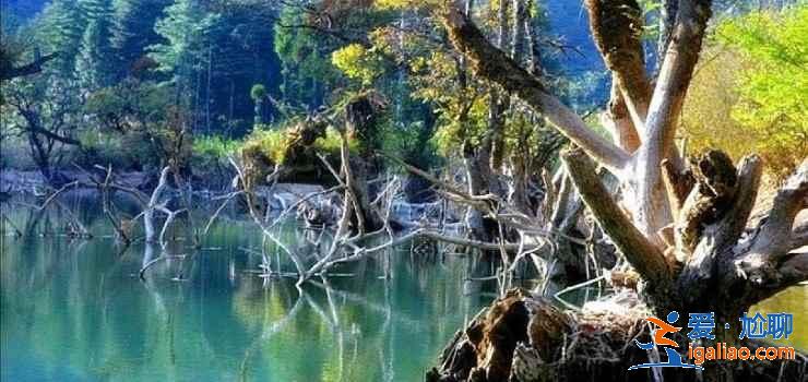 【湖北夏天有什么好玩的】2019湖北夏天哪里好玩，湖北哪里好玩又便宜？
