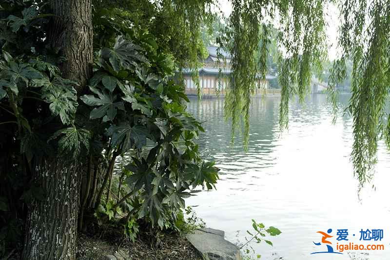 苏堤春晓为何这么有名，苏堤春晓为什么是必去景点？