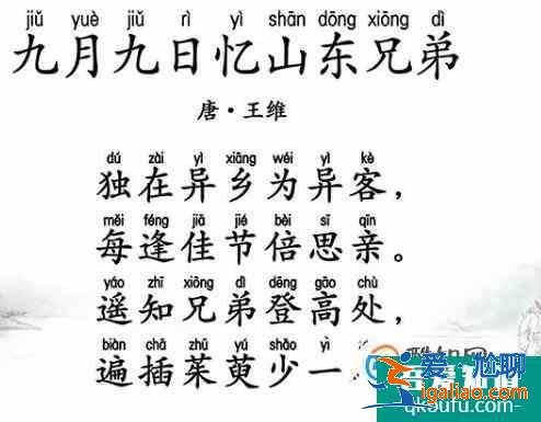 重阳节的诗句？