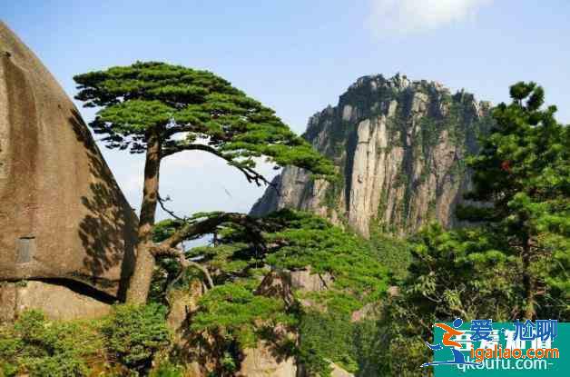 黄山必去的景区景点有哪些？