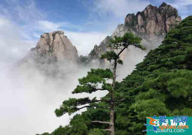 黄山必去的景区景点有哪些？