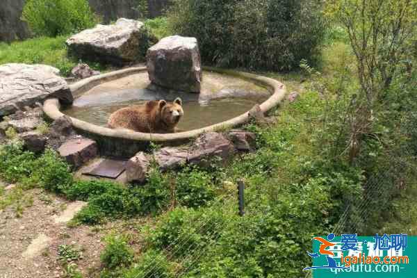 2021无锡动物园门票多少钱一张 无锡动物园春之童趣季时间？