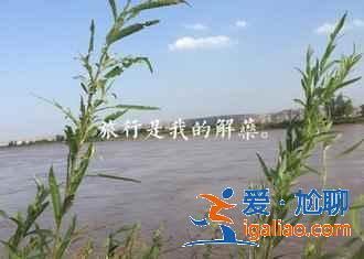 沙坡头有什么好玩的，沙坡头不可错过的体验？