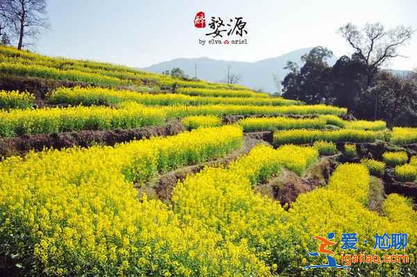 江西有什么好玩的地方，江西有哪些必去的景点？