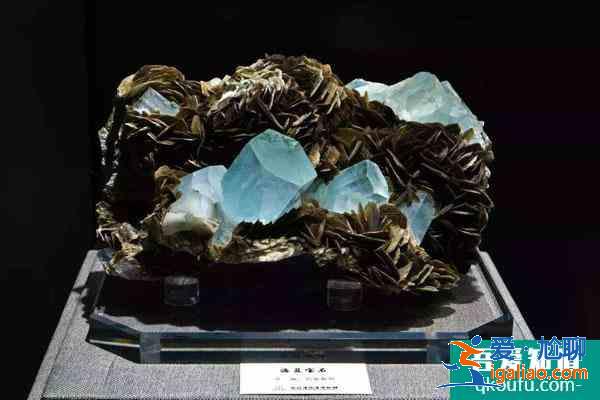 湖北地质博物馆开放时间 附免费门票预约方式？