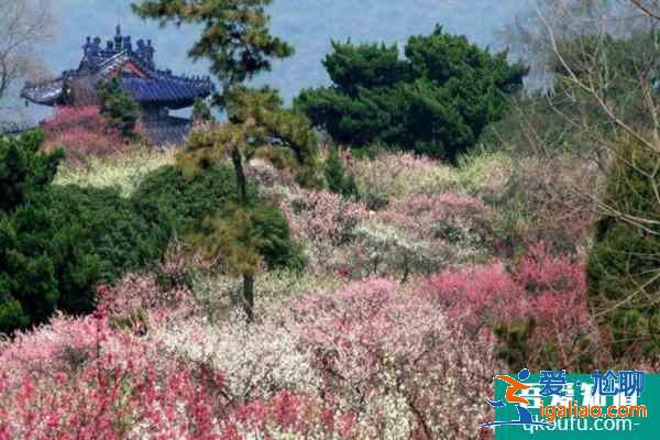 中国四大赏梅胜地是哪四个? 中国四大赏梅胜地是哪四个?