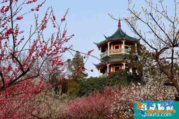 中国四大赏梅胜地是哪四个? 中国四大赏梅胜地是哪四个?