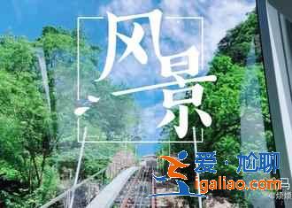 医院包生男孩qq群[ 选择我们 ]？