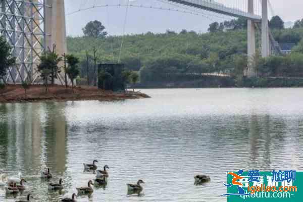 2021广州花都志恵农场清明节门票多少钱？