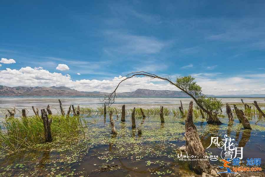 洱海环湖自驾需要多长时间，洱海环湖自驾路线怎么走？