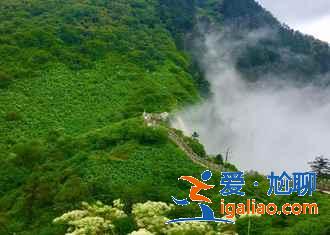 【西岭雪山怎么玩】西岭雪山有什么好玩的，西岭雪山景点推荐？