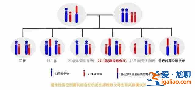说一说广州代怀机构？