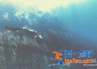 菲律宾性价比最高的海岛游，菲律宾人少景美的海岛推荐？