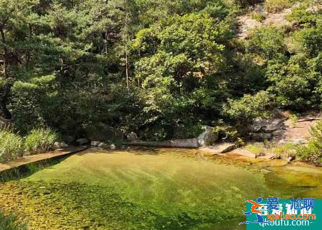 2021清明节昆嵛山国家森林公园交通管控及游路管制信息？