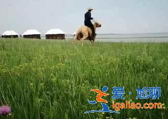 六月呼伦贝尔有什么好玩的地方，呼伦贝尔六月旅游好去处？