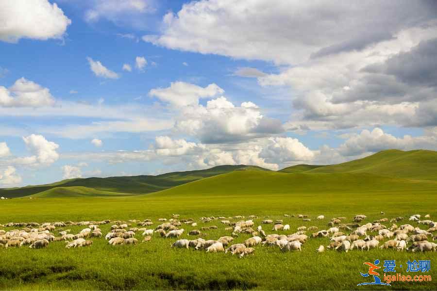 六月呼伦贝尔有什么好玩的地方，呼伦贝尔六月旅游好去处？