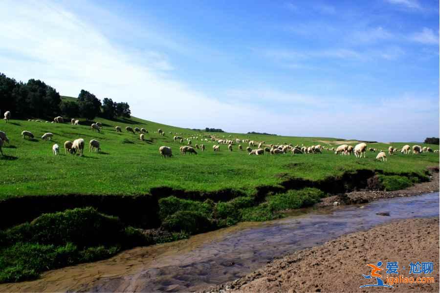 内蒙草原旅游哪里好，内蒙古哪里的草原美丽又好玩？