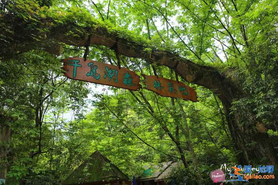 千岛湖哪个景点最好玩，千岛湖有什么必去景点，千岛湖必打卡景点推荐？