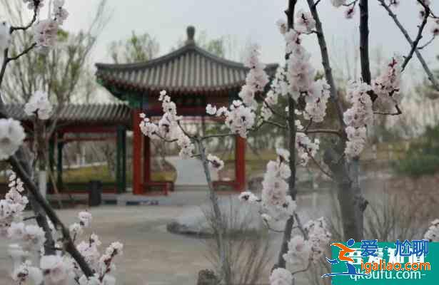 2021年清明节北京旅游景点推荐？