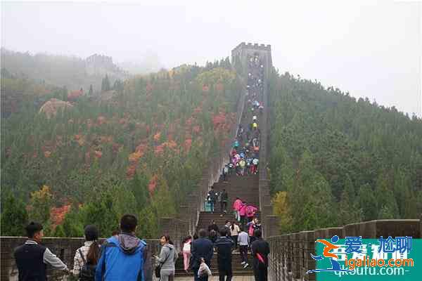 龙口南山景区2021清明节活动汇总？