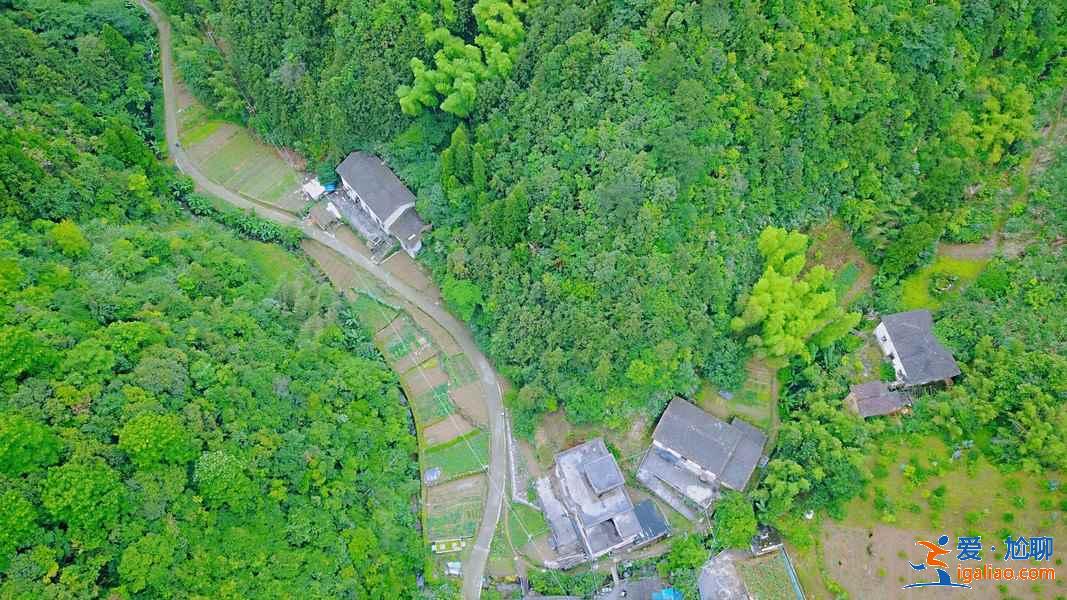 千岛湖森林氧吧怎么去,千岛湖森林氧吧怎么坐车,千岛湖森林氧吧交通攻略? 千岛湖森林氧吧怎么去,千岛湖森林氧吧怎么坐车,千岛湖森林氧吧交通攻略?