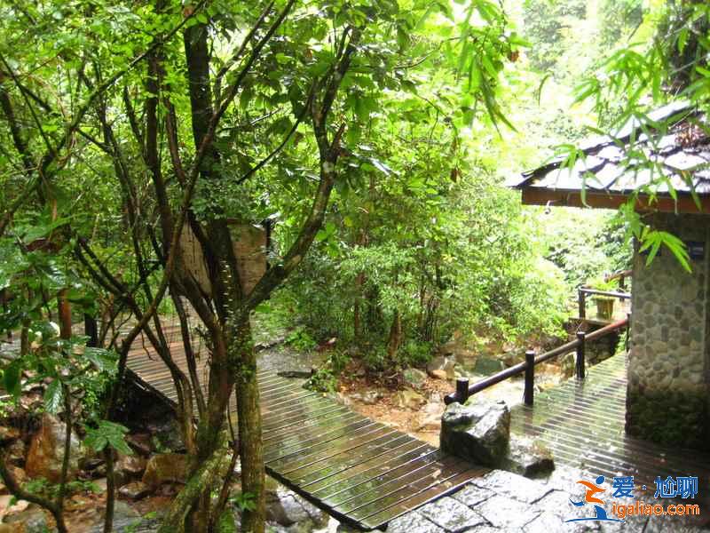千岛湖森林氧吧怎么去,千岛湖森林氧吧怎么坐车,千岛湖森林氧吧交通攻略? 千岛湖森林氧吧怎么去,千岛湖森林氧吧怎么坐车,千岛湖森林氧吧交通攻略?
