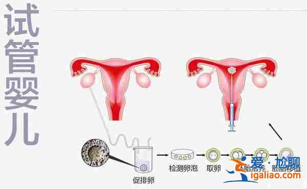长春代生男孩子_目前一流的助孕科研团队？