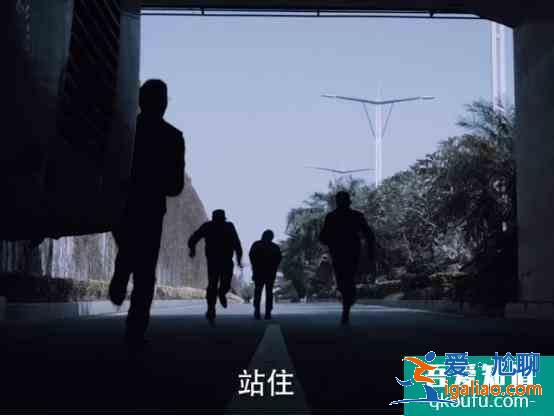 《白夜追凶》结局你看懂了吗，最后为什么要吃掉宠物鱼“老虎”？