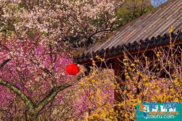 2022无锡梅园赏梅最佳观赏点及观赏时间？